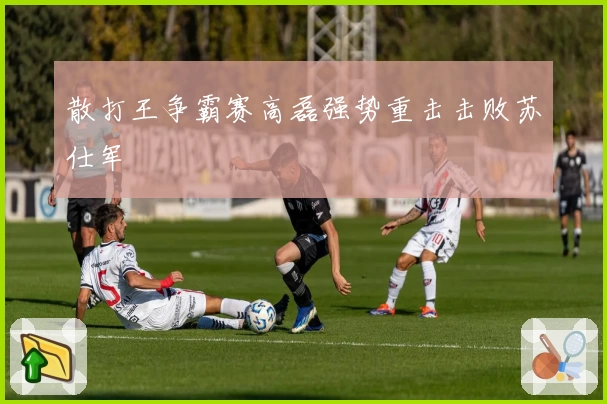 散打王争霸赛高磊强势重击击败苏仕军