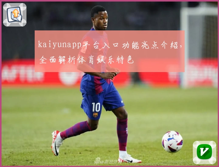 kaiyunapp平台入口功能亮点介绍，全面解析体育娱乐特色