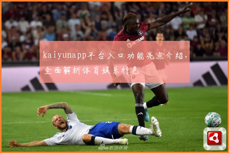 kaiyunapp平台入口功能亮点介绍，全面解析体育娱乐特色