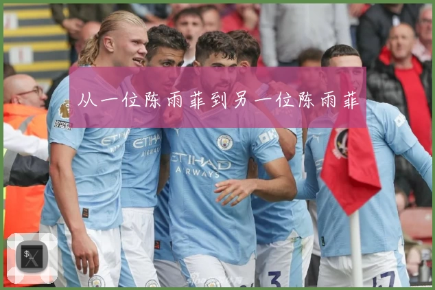 从一位陈雨菲到另一位陈雨菲