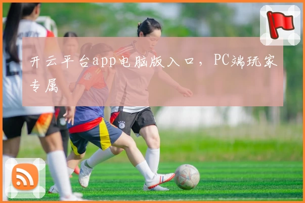 开云平台app电脑版入口，PC端玩家专属